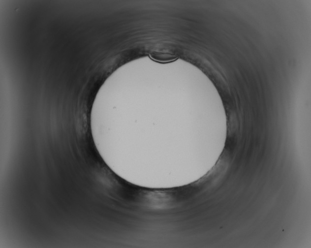 X0000086780183200705111802