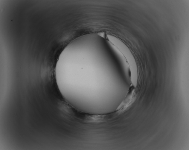 X0000086780184200705111802