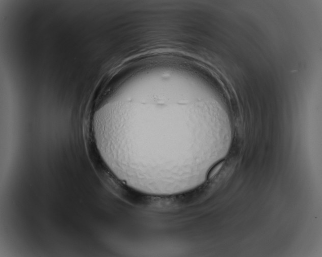 X0000086780185200705111802