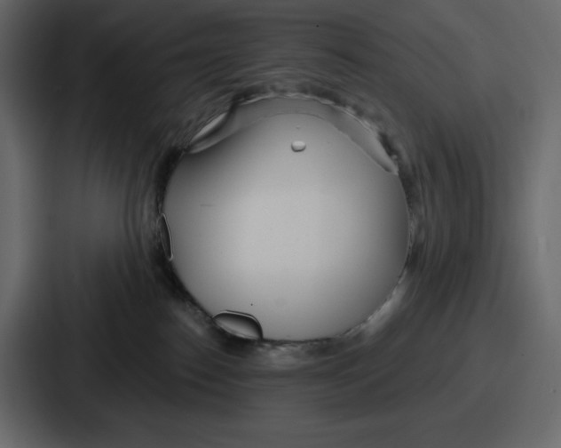 X0000086780186200705111802