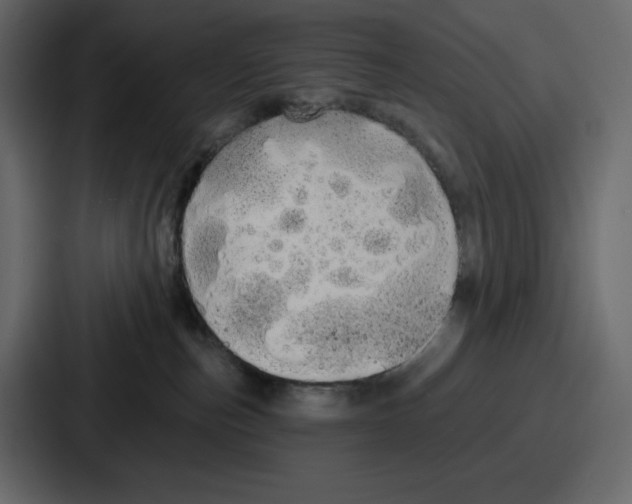 X0000086780187200705111802