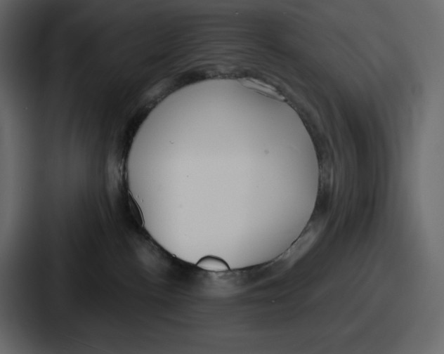 X0000086780188200705111802