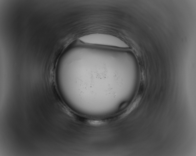 X0000086780189200705111802