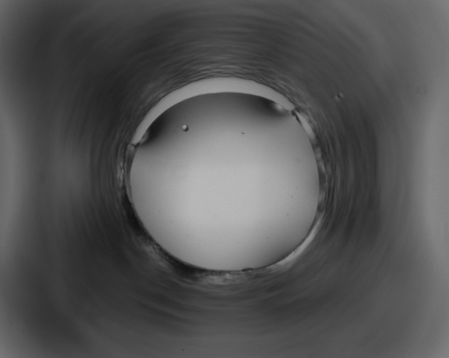 X0000086780190200705111802