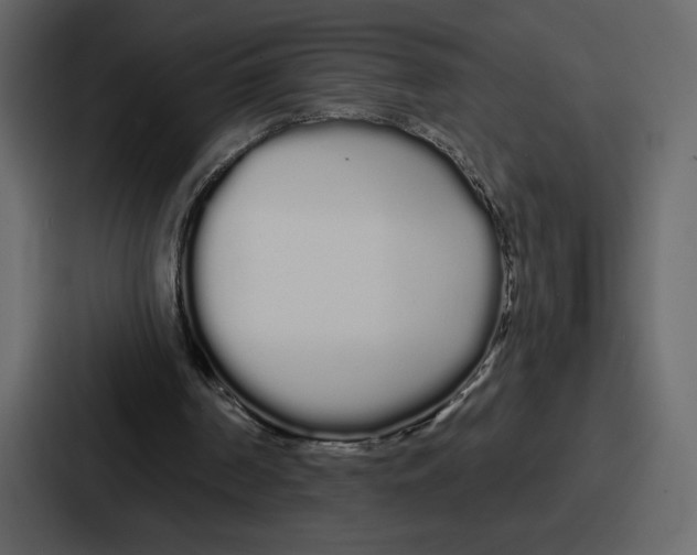 X0000086780194200705111802