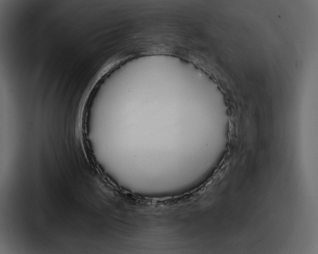 X0000086780195200705111802