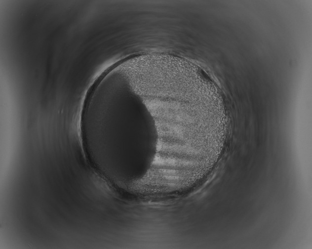 X0000086780196200705111802