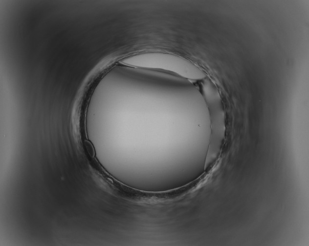 X0000086780197200705111802