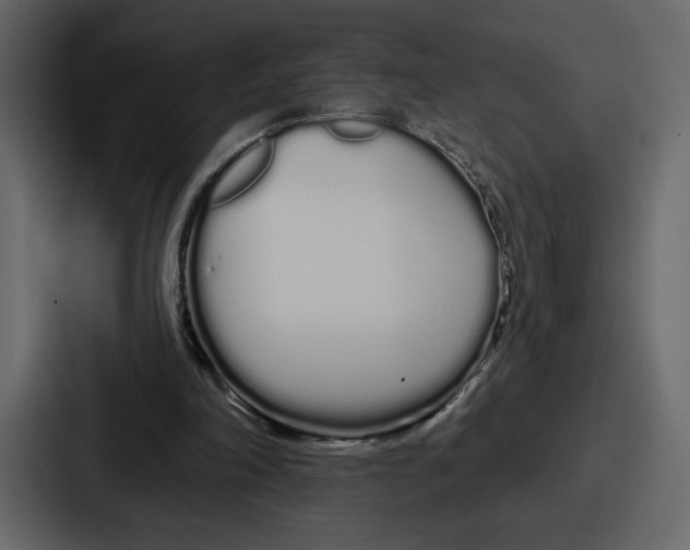 X0000086780198200705111802