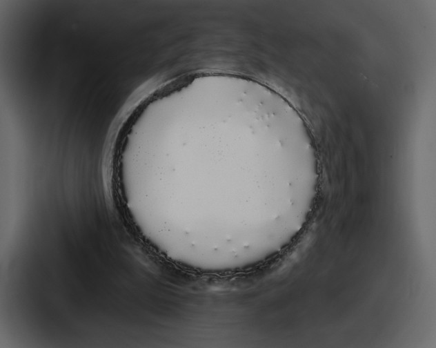 X0000086780199200705111801