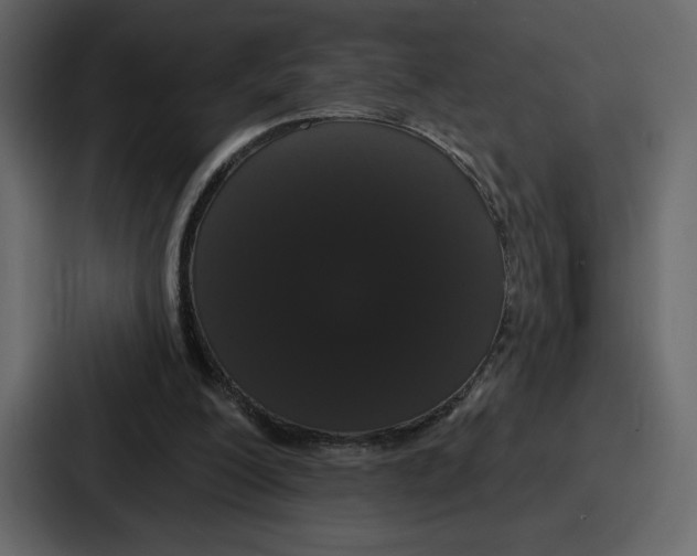 X0000086780200200705111801