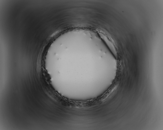 X0000086780203200705111801