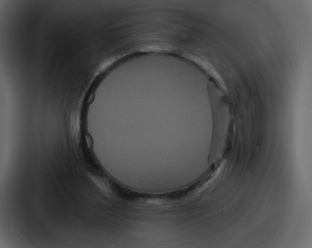 X0000086780204200705111801