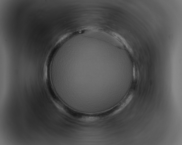 X0000086780205200705111801