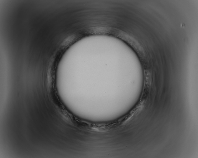 X0000086780206200705111801