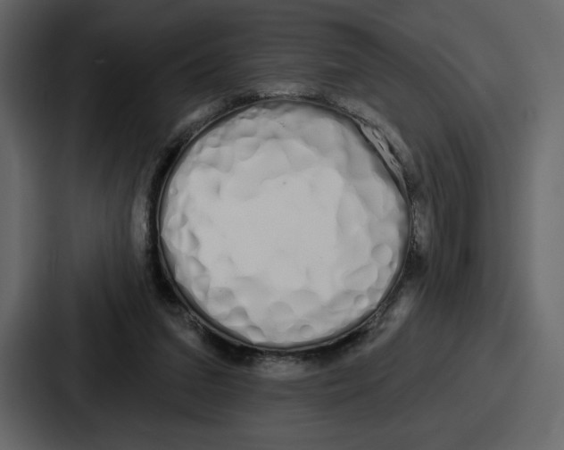 X0000086780207200705111801