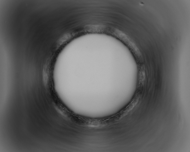 X0000086780208200705111801