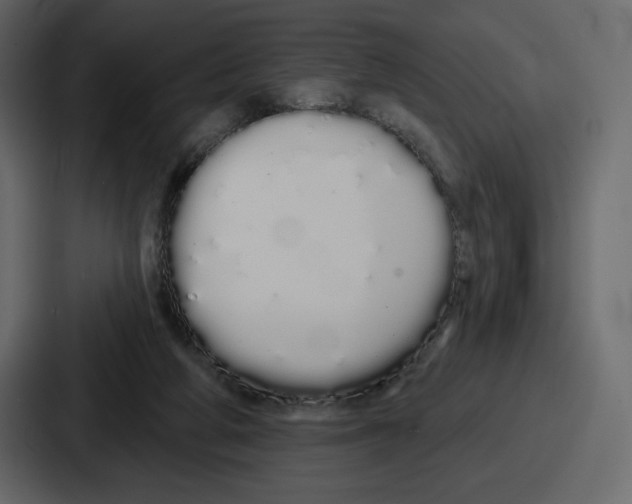 X0000086780210200705111801