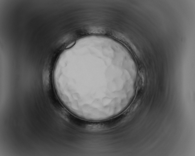 X0000086780211200705111801