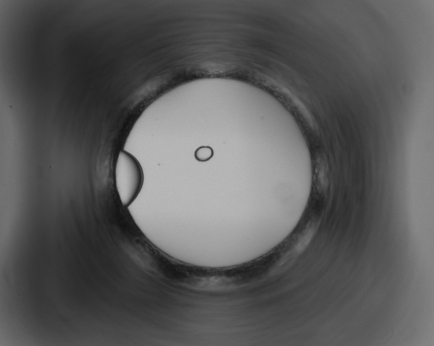 X0000086780212200705111801