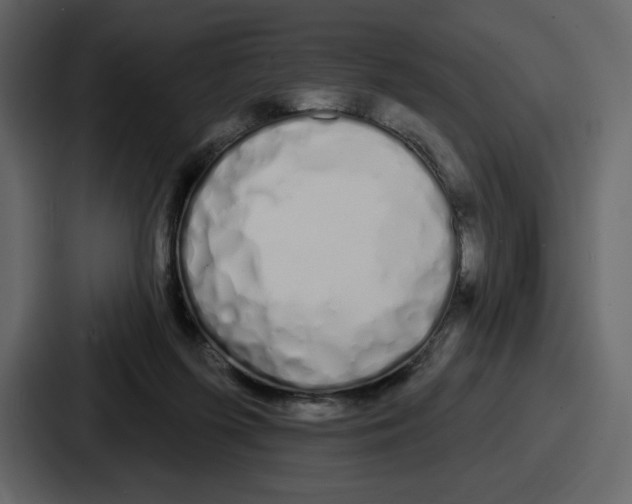 X0000086780215200705111801