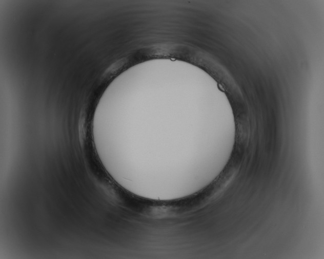 X0000086780216200705111801