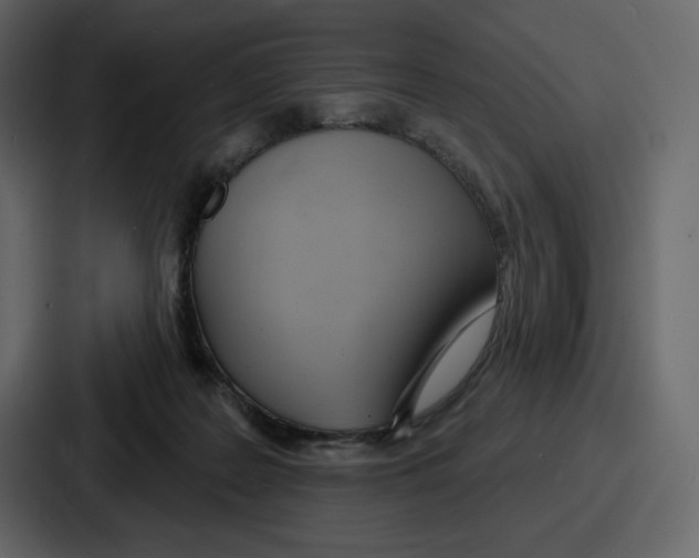 X0000086780219200705111801