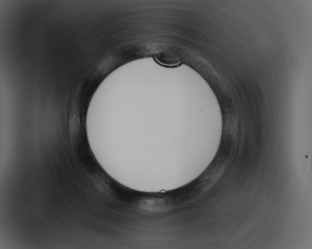 X0000086780220200705111801