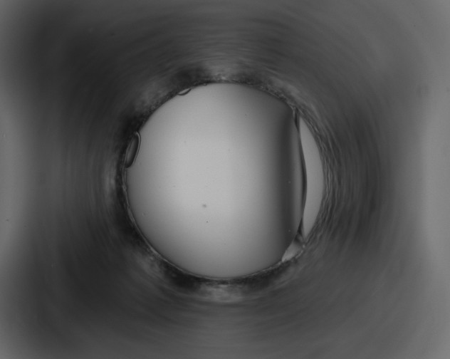 X0000086780221200705111801