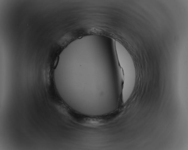 X0000086780223200705111801