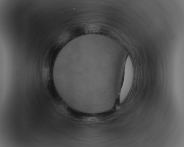 X0000086780224200705111801