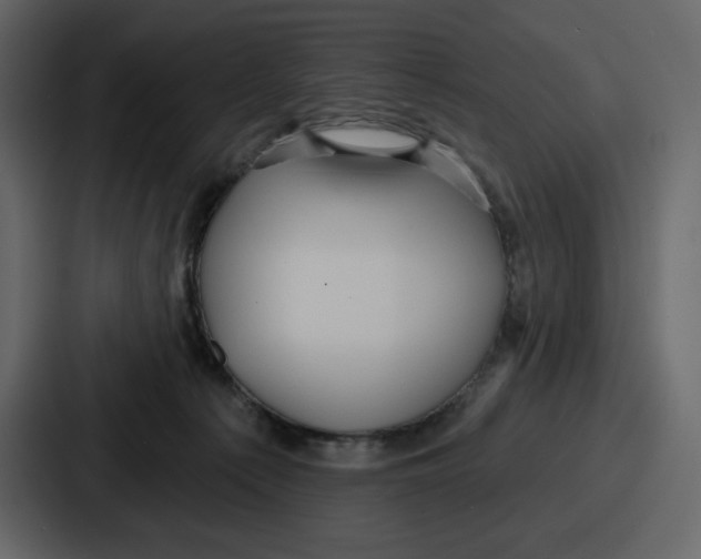 X0000086780225200705111801