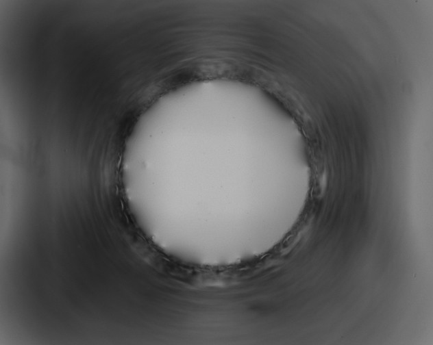 X0000086780226200705111801