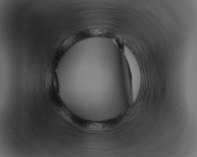 X0000086780227200705111801