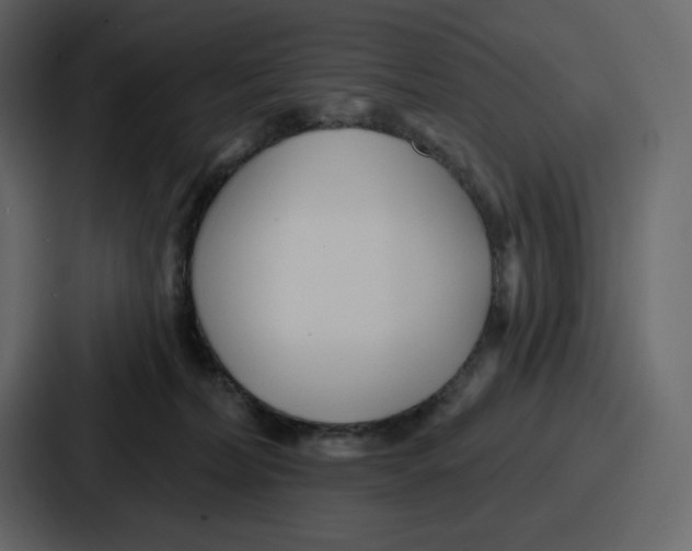 X0000086780228200705111801