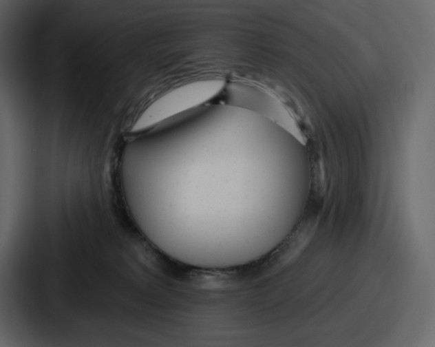 X0000086780229200705111801