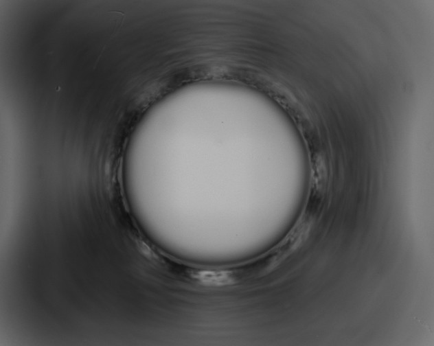 X0000086780230200705111801