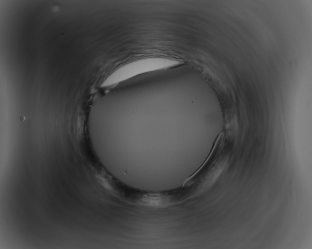 X0000086780231200705111801