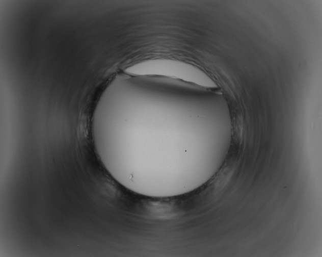 X0000086780232200705111801