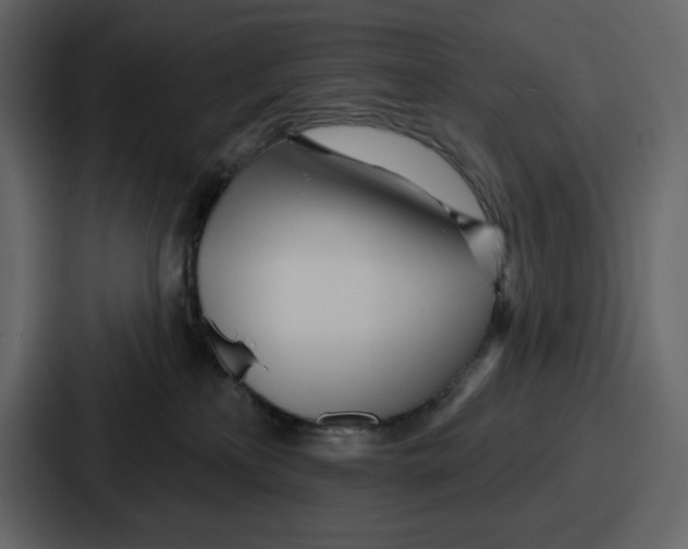 X0000086780233200705111801