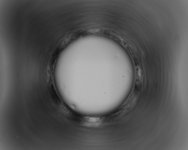 X0000086780234200705111801