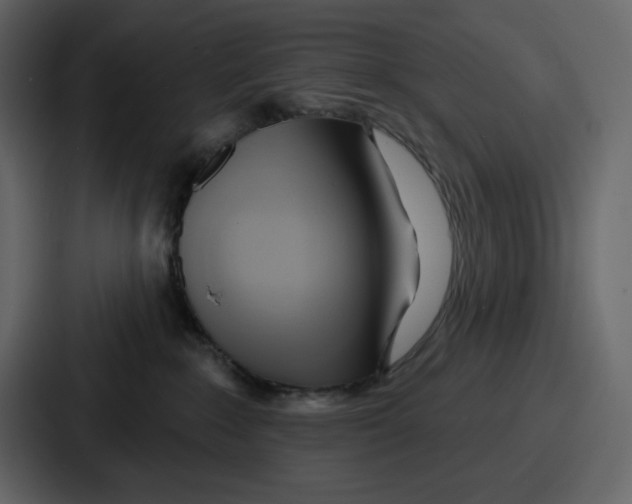 X0000086780235200705111801