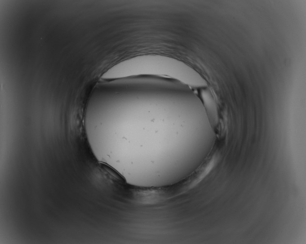 X0000086780237200705111801