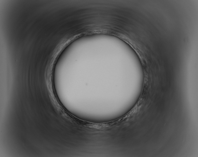 X0000086780241200705111800