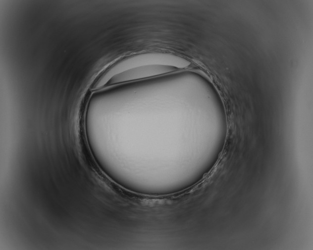 X0000086780242200705111800