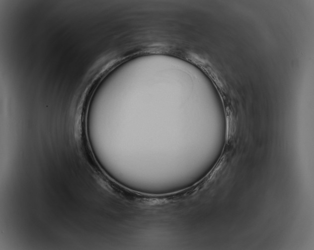 X0000086780243200705111800