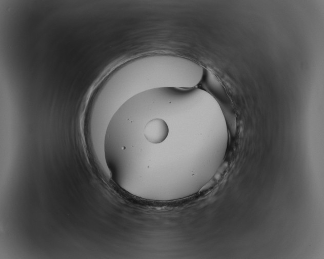 X0000086780244200705111800