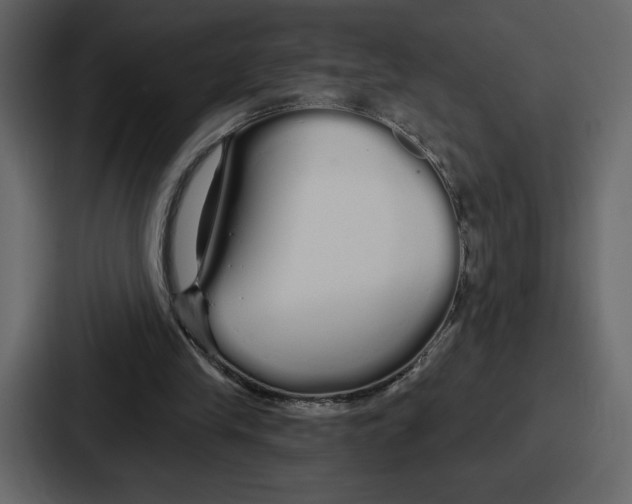 X0000086780245200705111800