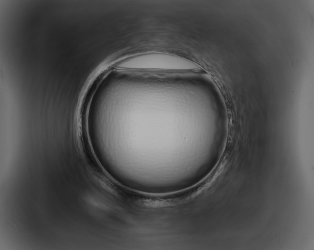 X0000086780246200705111800