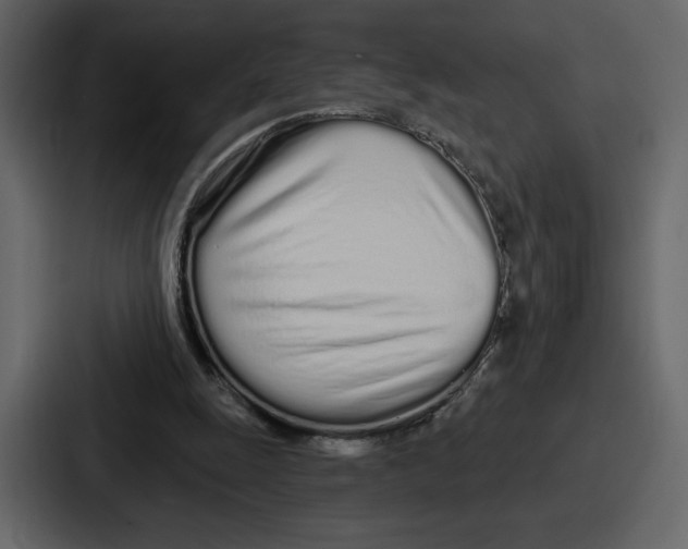 X0000086780247200705111800